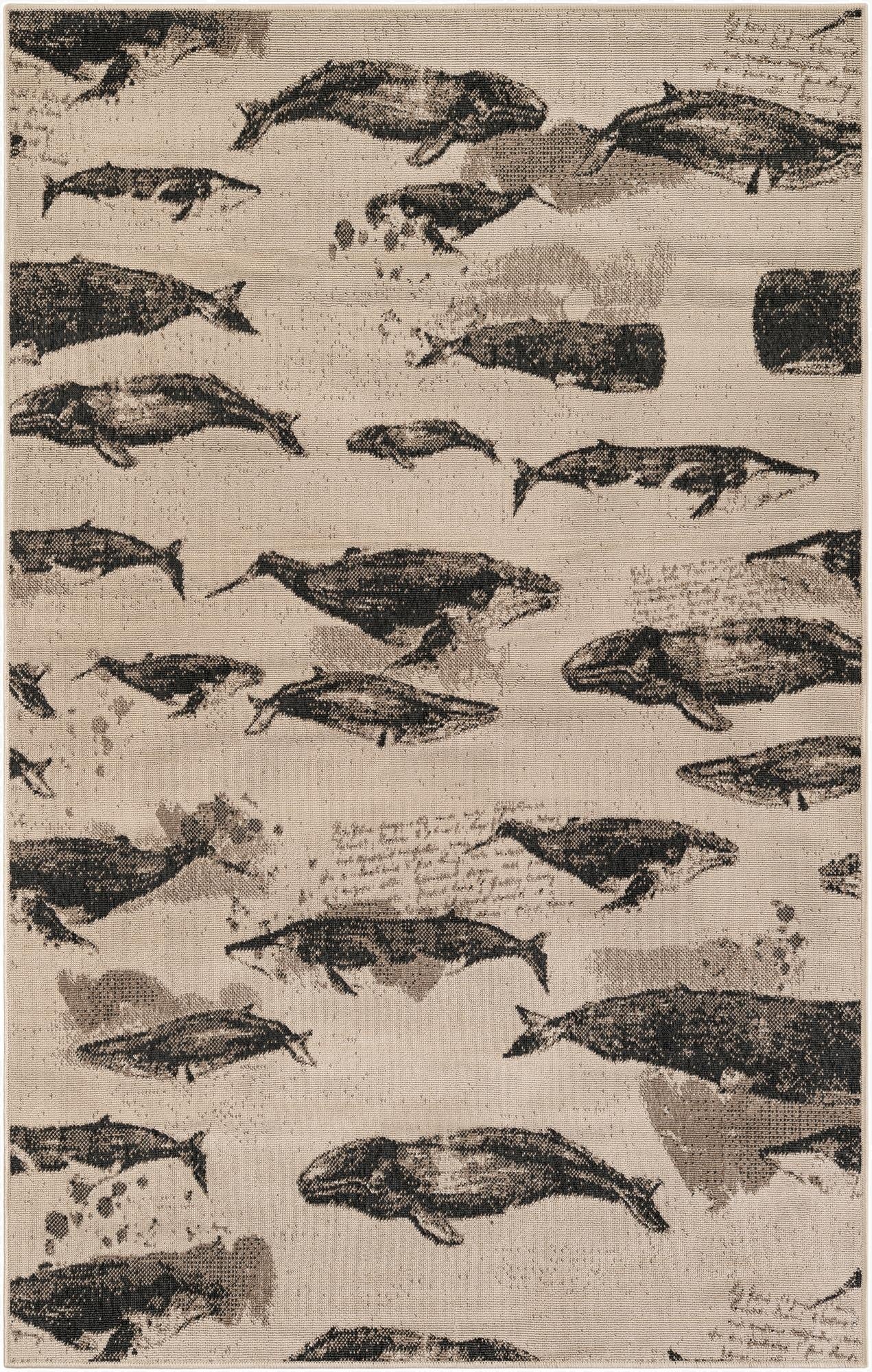  5' x 8'  Washable Coastal Indoor / Outdoor Rug