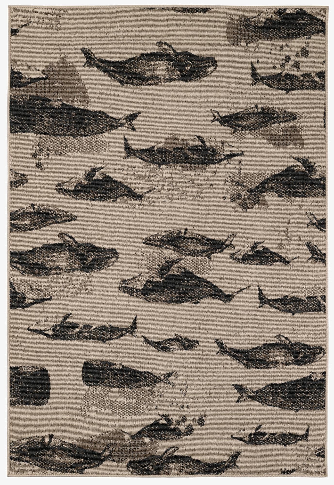  5' 2 x 7' 7  Washable Coastal Indoor / Outdoor Rug