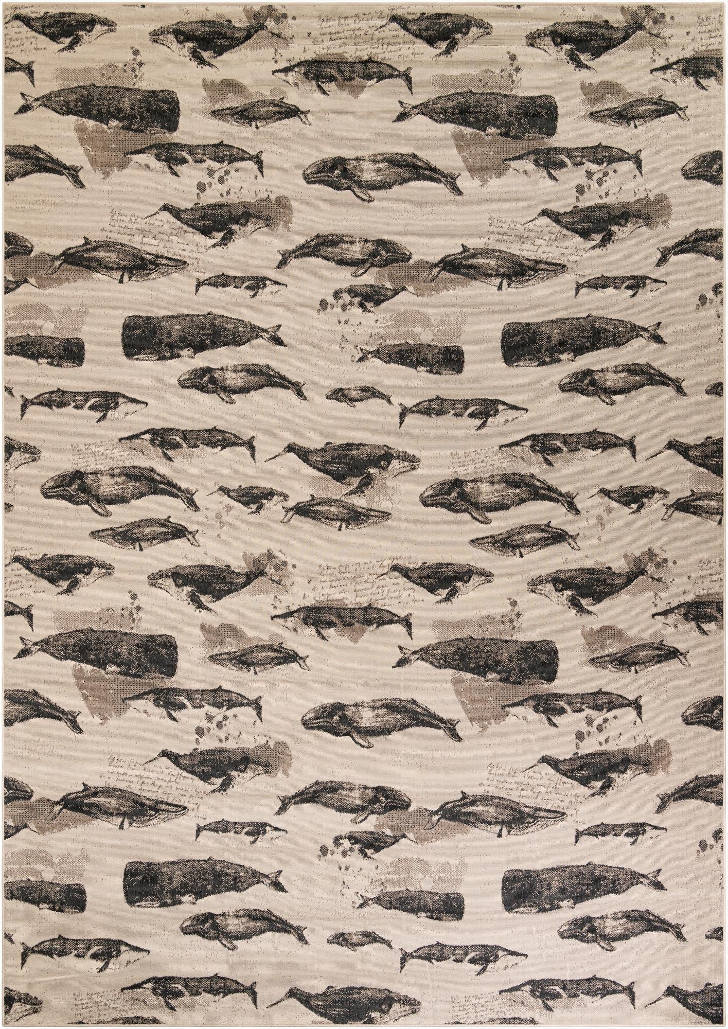  10' x 14'  Washable Coastal Indoor / Outdoor Rug