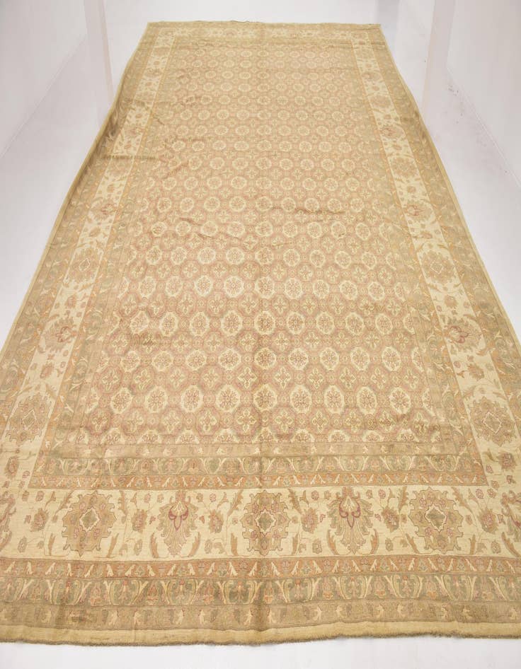 Detail image of  16' 6 x 25' 2  Hand Knotted Peshawar Ziegler Rug