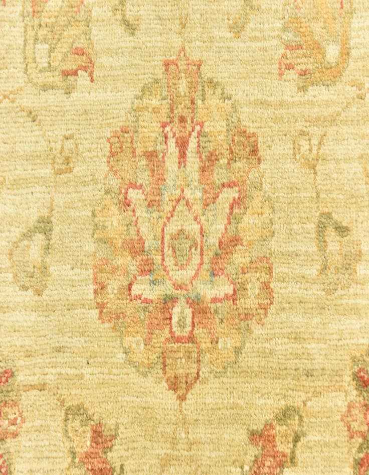 Detail image of  6' 8 x 9' 8  Hand Knotted Peshawar Ziegler Rug