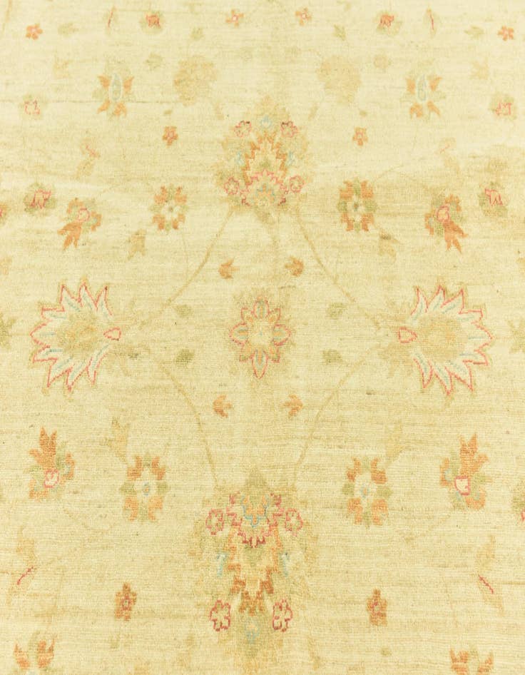 Detail image of  10' 1 x 13' 7  Hand Knotted Peshawar Ziegler Rug