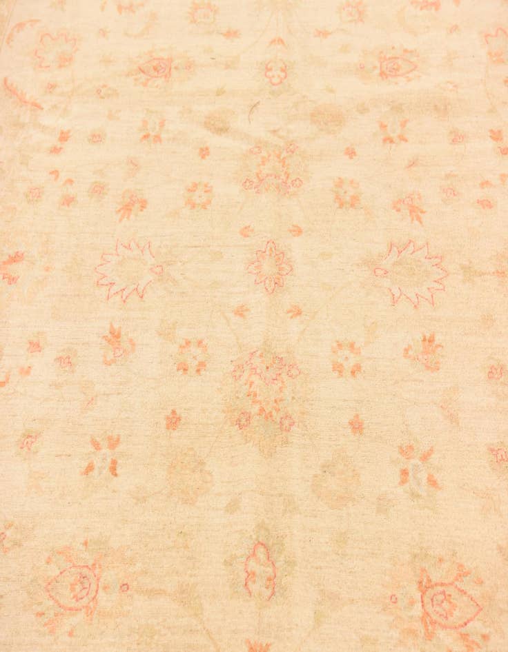 Detail image of  9' 9 x 12' 10  Hand Knotted Peshawar Ziegler Rug