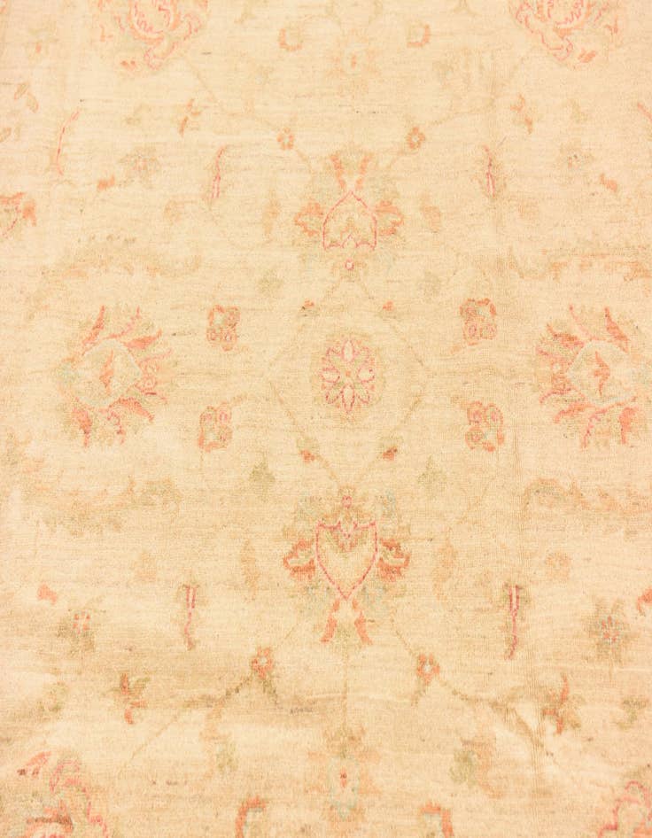 Detail image of  6' 9 x 9' 8  Hand Knotted Peshawar Ziegler Rug