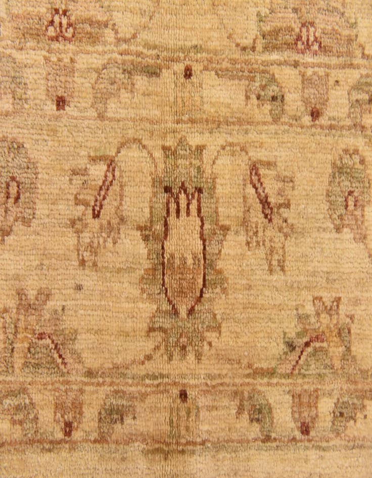 Detail image of  5' x 6' 7  Hand Knotted Peshawar Ziegler Rug