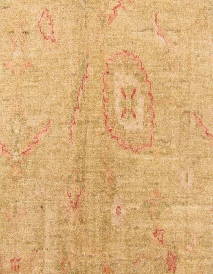 Detail image of  6' 9 x 9' 7  Hand Knotted Peshawar Ziegler Rug