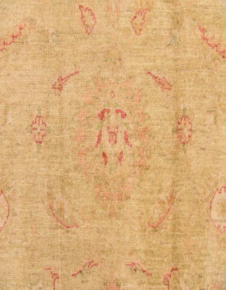 Detail image of  6' 9 x 9' 7  Hand Knotted Peshawar Ziegler Rug