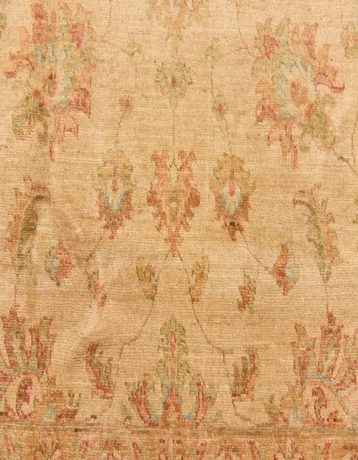 Detail image of  6' 6 x 9' 4  Hand Knotted Peshawar Ziegler Rug