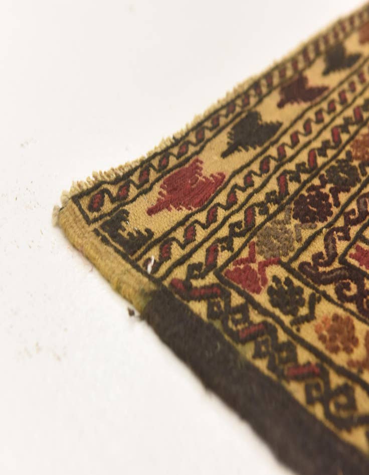 Detail image of  3' 10 x 6' 4  Hand Knotted Sumak Wool Rug