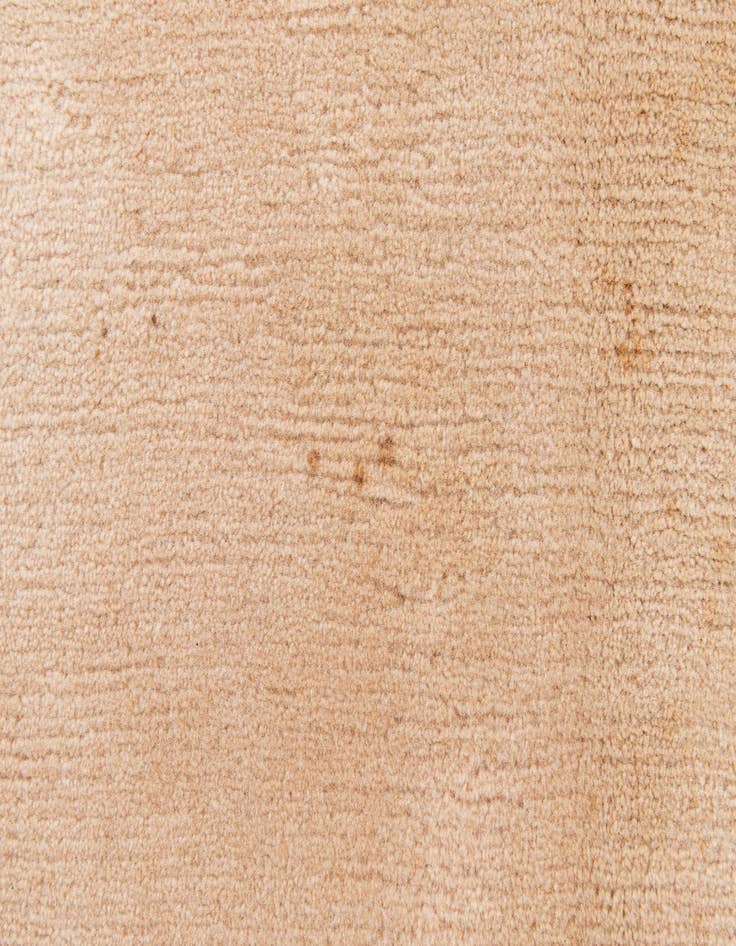 Detail image of  6' 7 x 9' 7  Hand Knotted Tibet Wool Rug