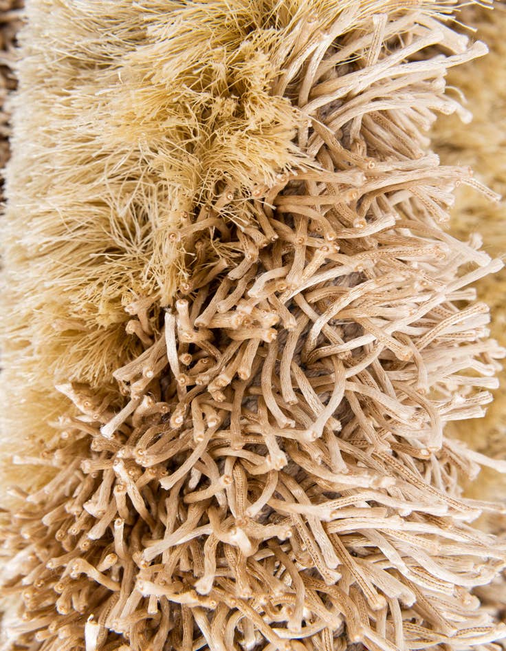 Detail image of  5' x 6' 8  Hand Knotted Two-Tone Shag Rug