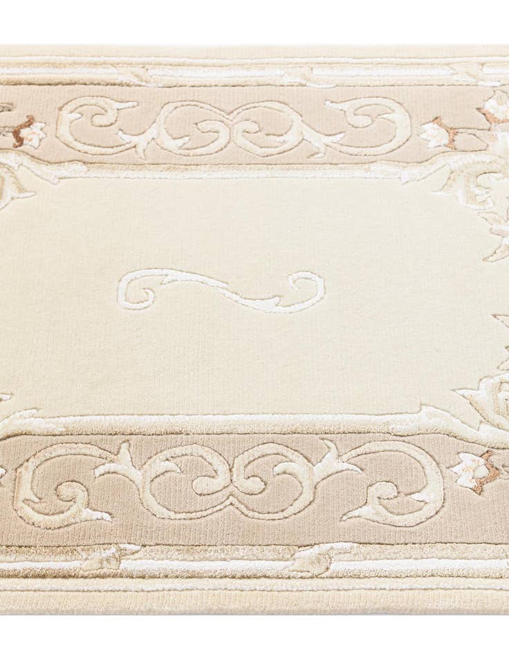 Detail image of  2' 9 x 9' 11 Darya Runner Rug