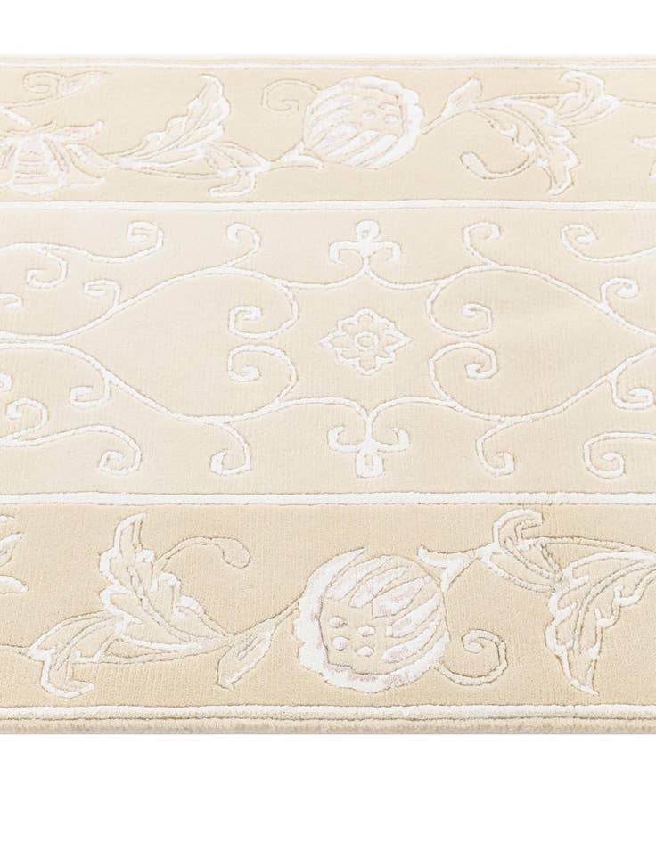 Detail image of  2' 7 x 9' 9 Darya Runner Rug