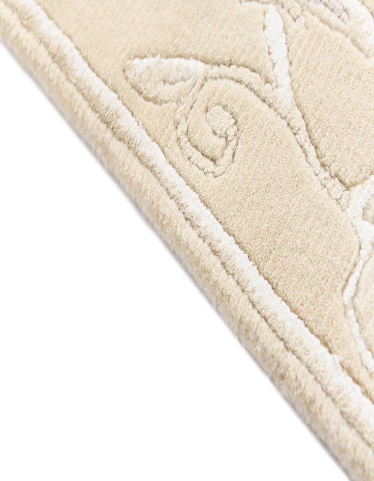 Detail image of  2' 7 x 9' 9 Darya Runner Rug