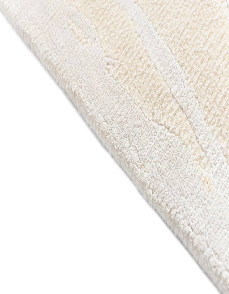 Detail image of  2' 8 x 9' 7 Darya Runner Rug