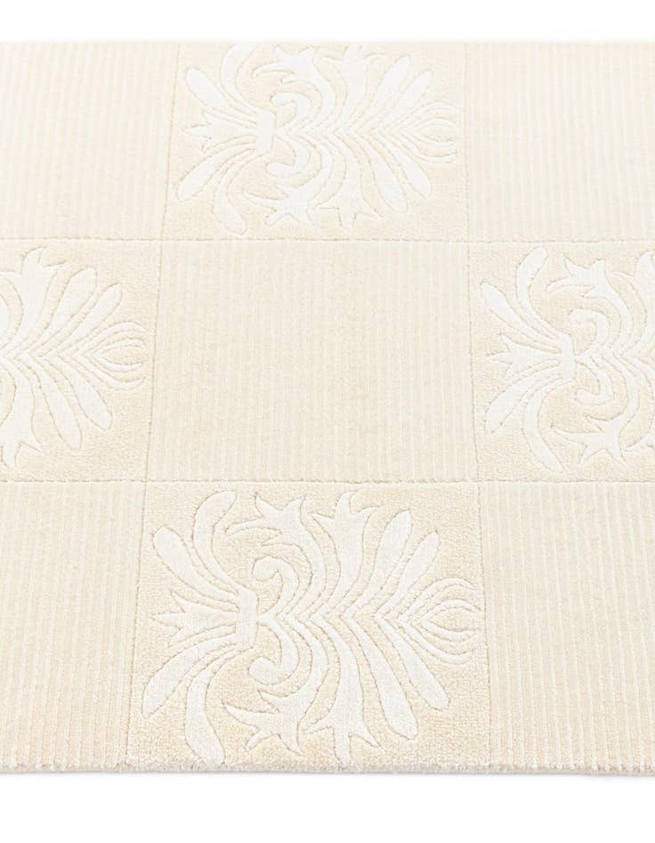 Detail image of  2' 7 x 9' 10 Darya Runner Rug