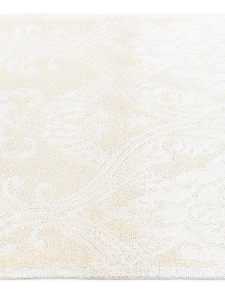 Detail image of  2' 10 x 9' 10 Darya Runner Rug