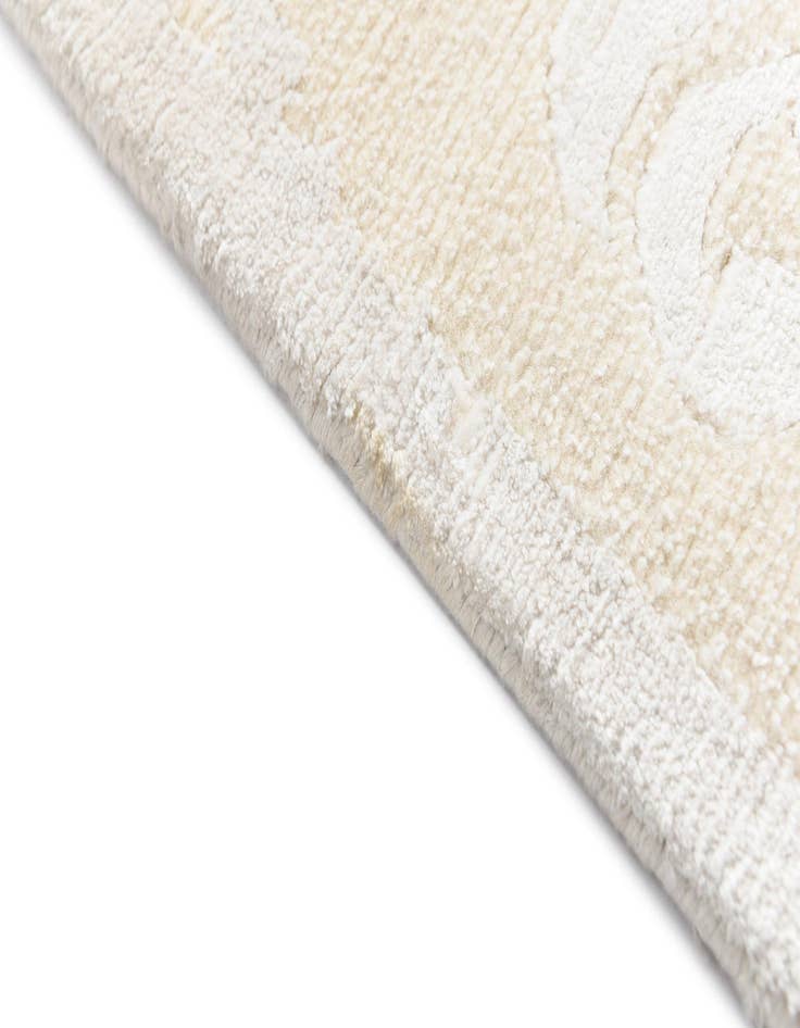 Detail image of  2' 10 x 9' 10 Darya Runner Rug