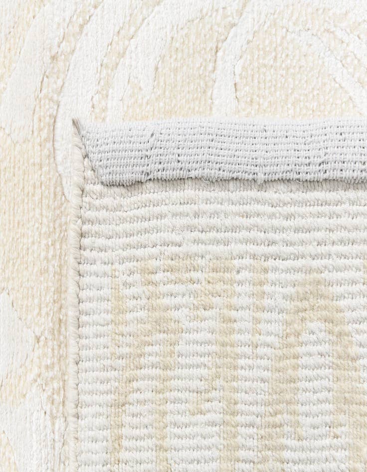 Detail image of  2' 10 x 9' 10 Darya Runner Rug