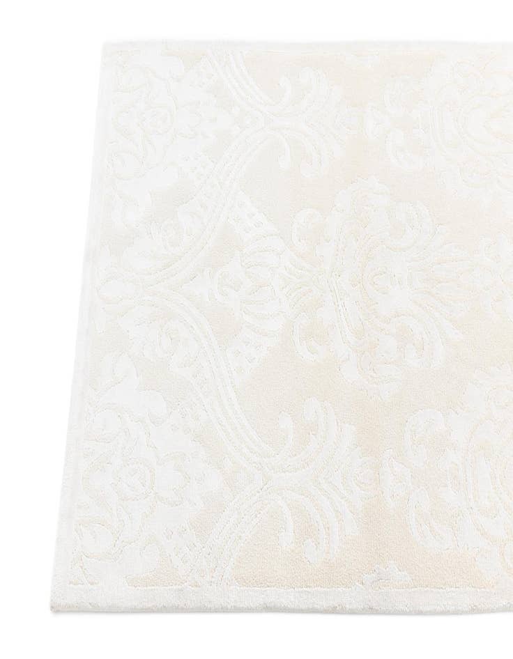 Detail image of  2' 10 x 9' 11 Darya Runner Rug