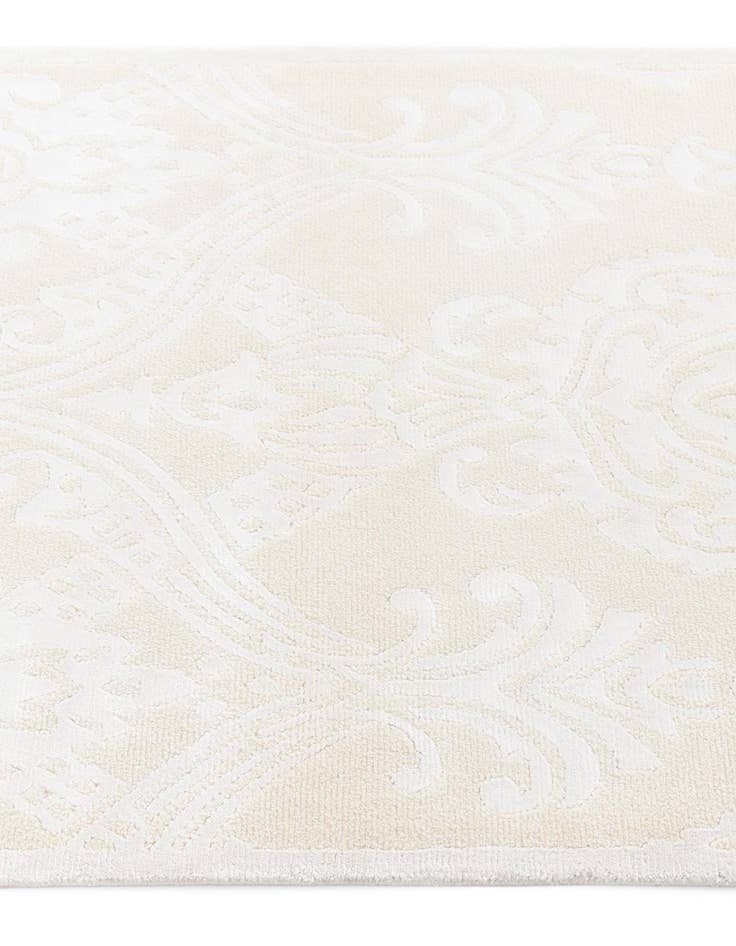 Detail image of  2' 10 x 9' 11 Darya Runner Rug