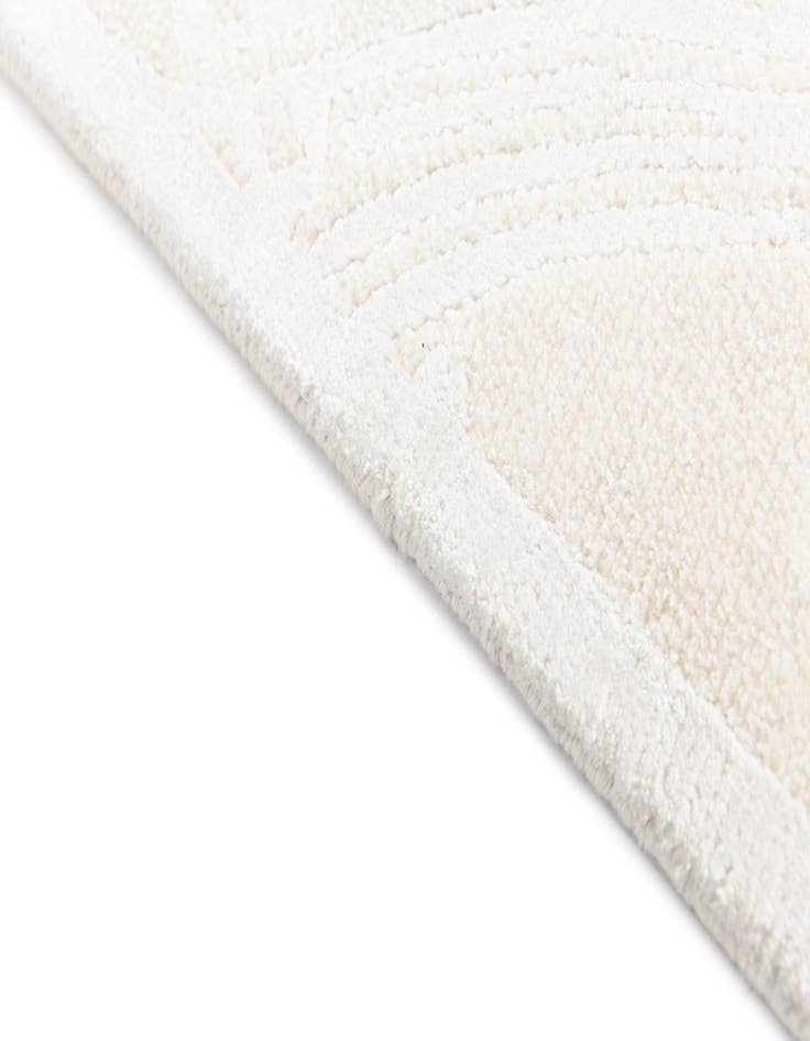 Detail image of  2' 10 x 9' 11 Darya Runner Rug