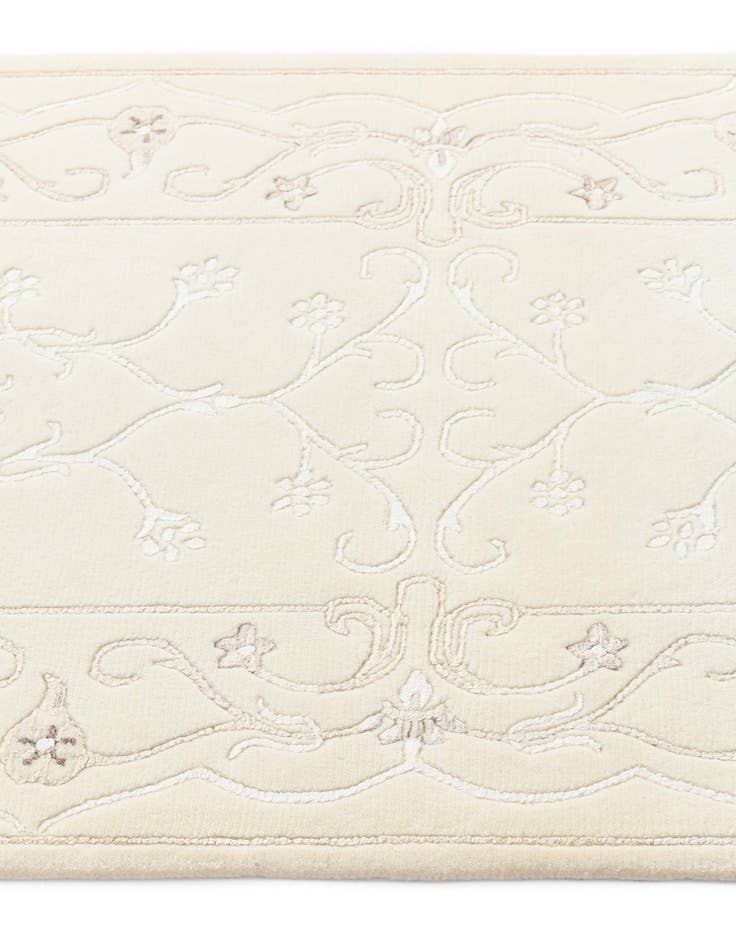 Detail image of  2' 8 x 10' Darya Runner Rug