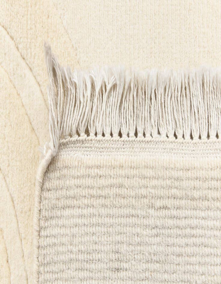 Detail image of  2' 7 x 9' 7 Darya Runner Rug