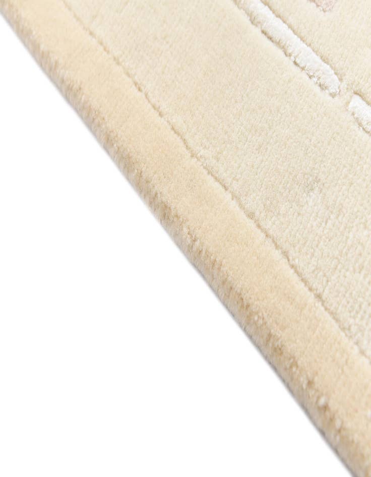 Detail image of  2' 7 x 9' 8 Darya Runner Rug