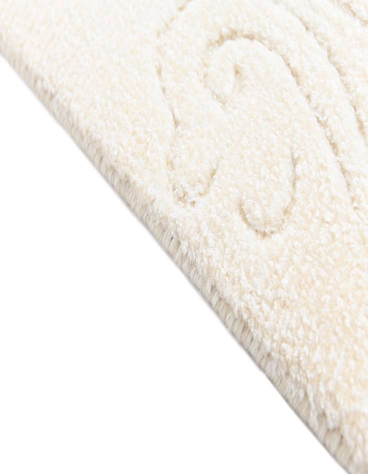 Detail image of  2' 6 x 9' 5 Darya Runner Rug