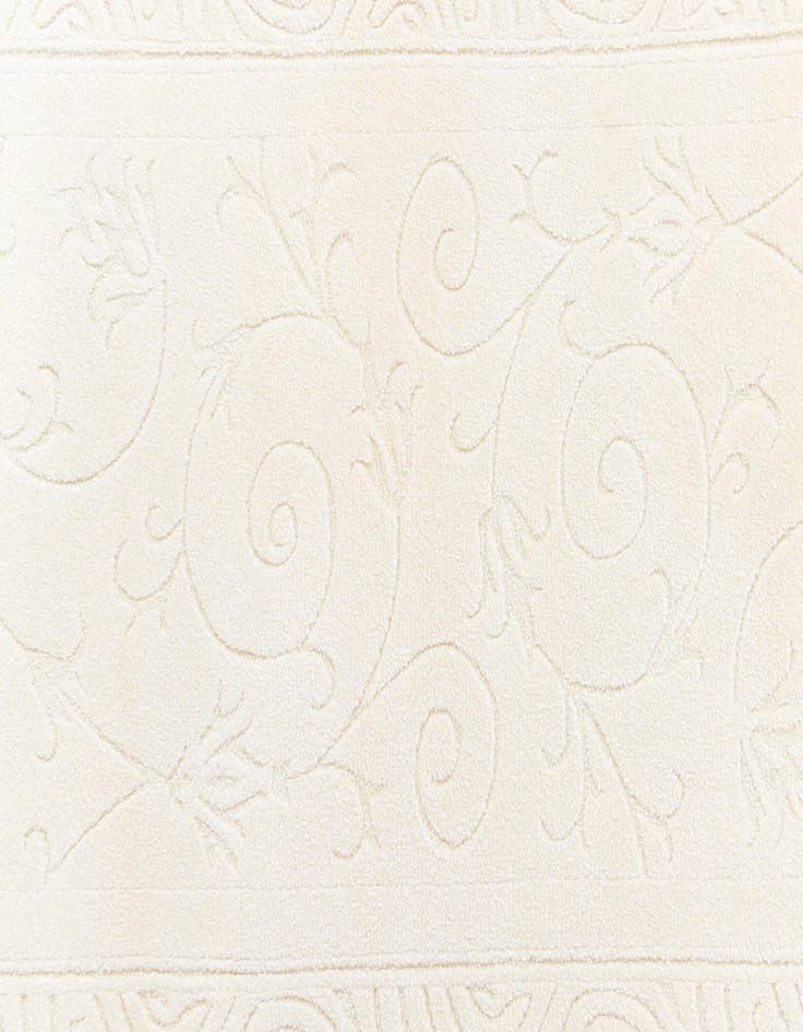 Detail image of  2' 6 x 9' 5 Darya Runner Rug