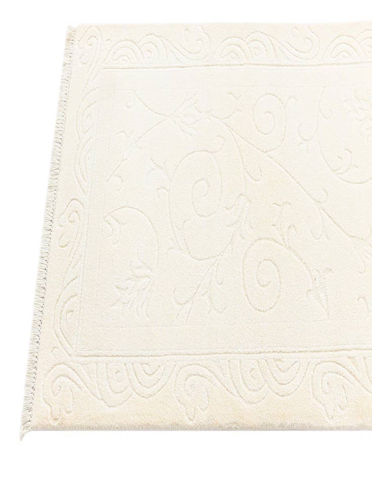 Detail image of  2' 6 x 9' 5 Darya Runner Rug