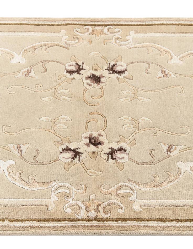 Detail image of  2' 7 x 9' 8 Darya Runner Rug