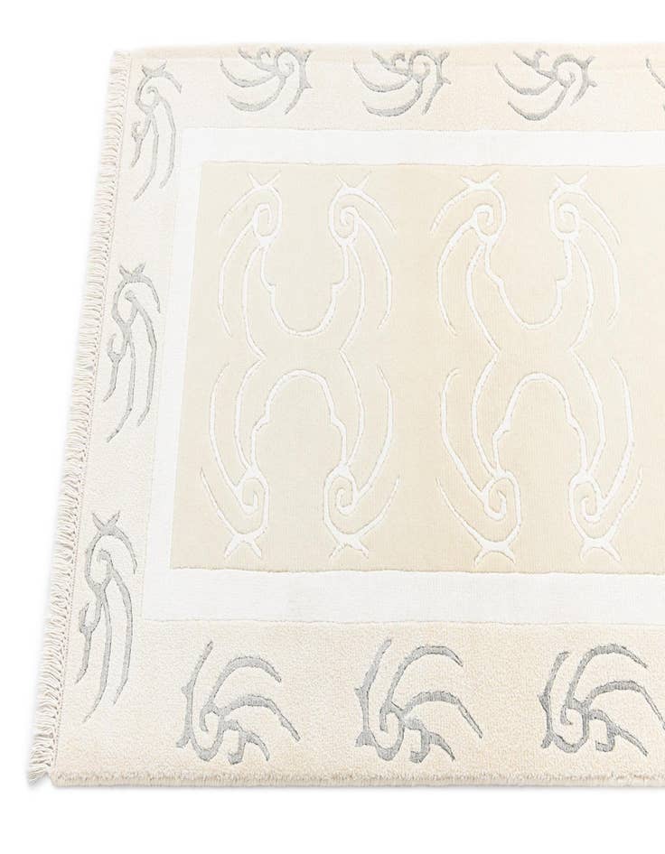 Detail image of  2' 7 x 9' 9 Darya Runner Rug
