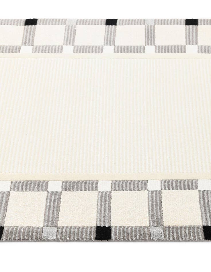 Detail image of  2' 7 x 9' 10 Darya Runner Rug