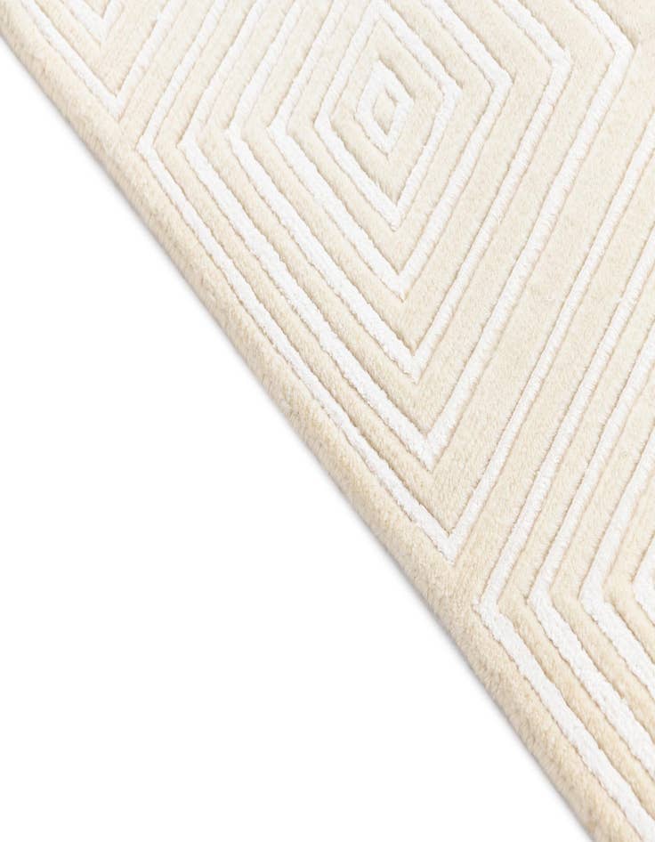 Detail image of  2' 7 x 10' Darya Runner Rug