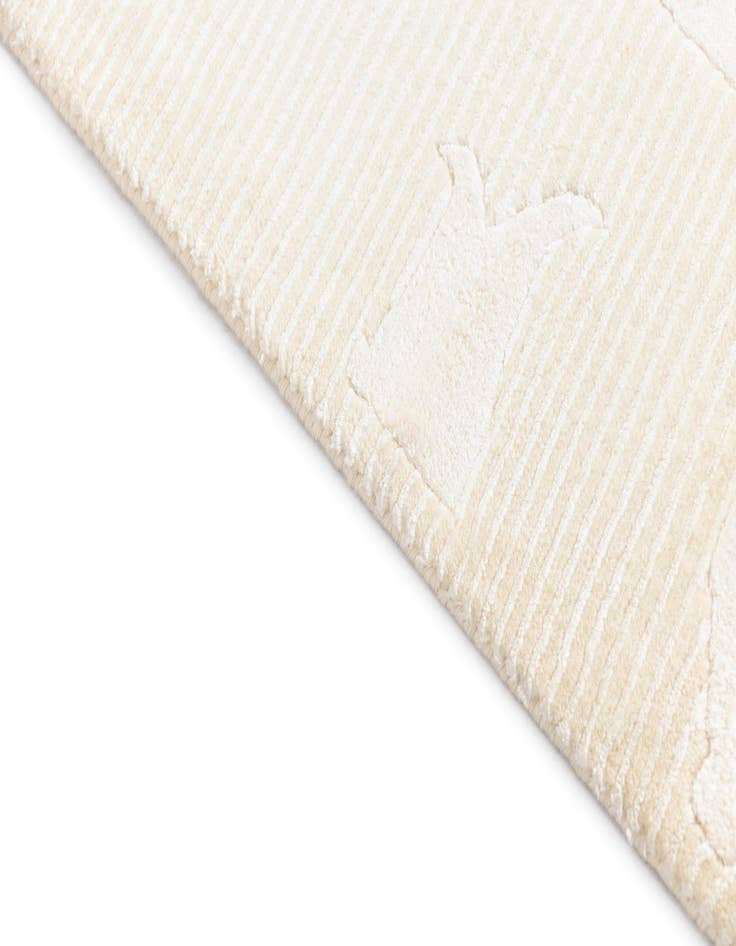 Detail image of  2' 9 x 10' Darya Runner Rug