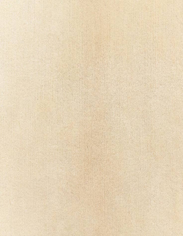 Detail image of  2' 8 x 9' 10 Darya Runner Rug