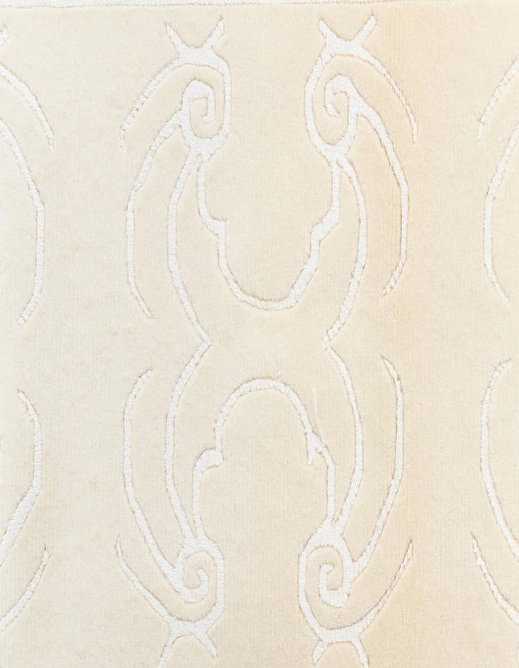 Detail image of  2' 8 x 9' 9 Darya Runner Rug