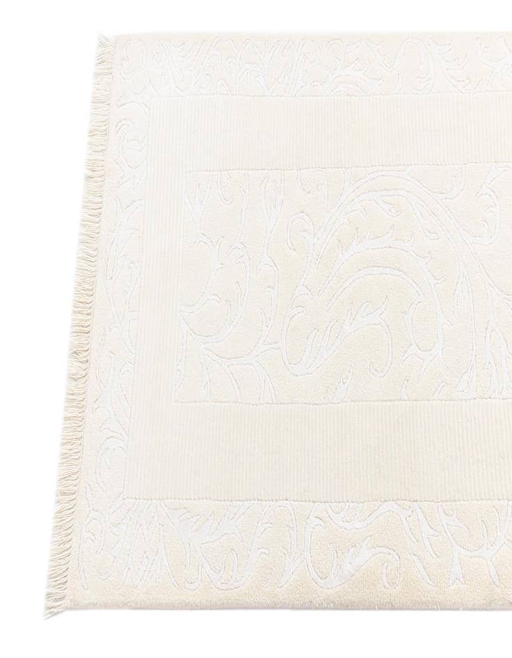 Detail image of  2' 8 x 9' 9 Darya Runner Rug