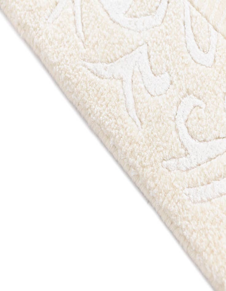 Detail image of  2' 8 x 9' 9 Darya Runner Rug