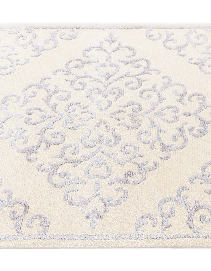 Detail image of  2' 10 x 9' 7 Darya Runner Rug