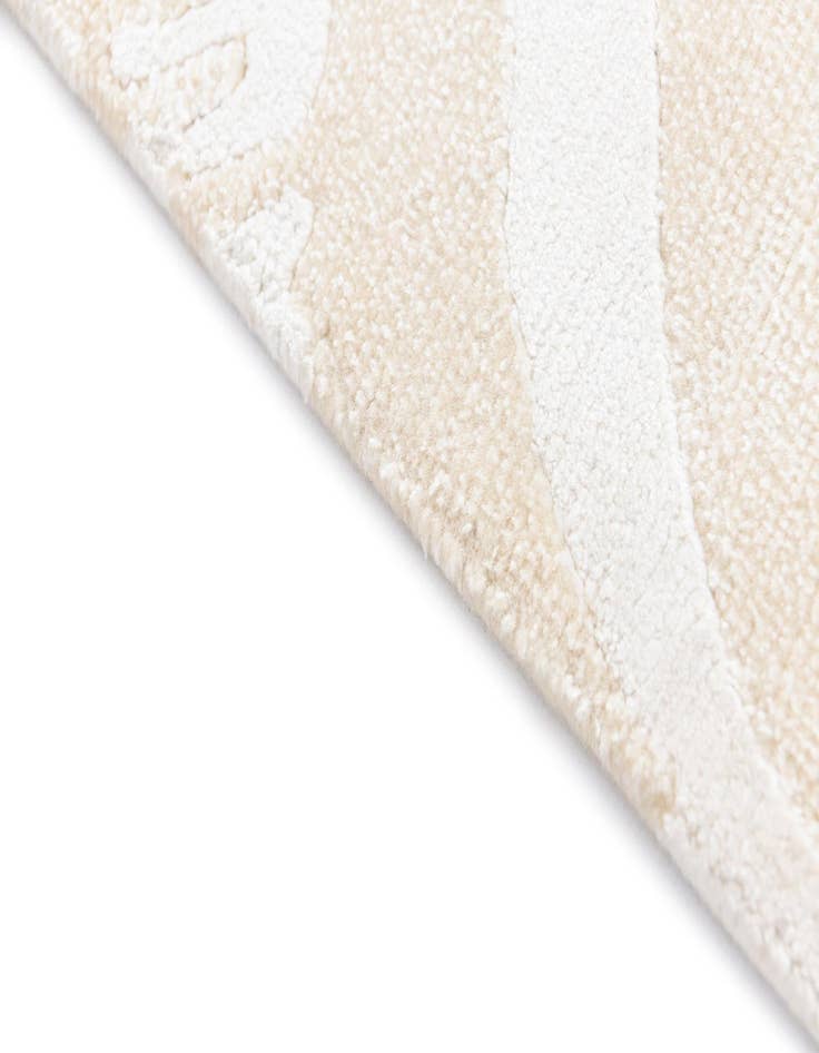 Detail image of  2' 9 x 9' 11 Darya Runner Rug