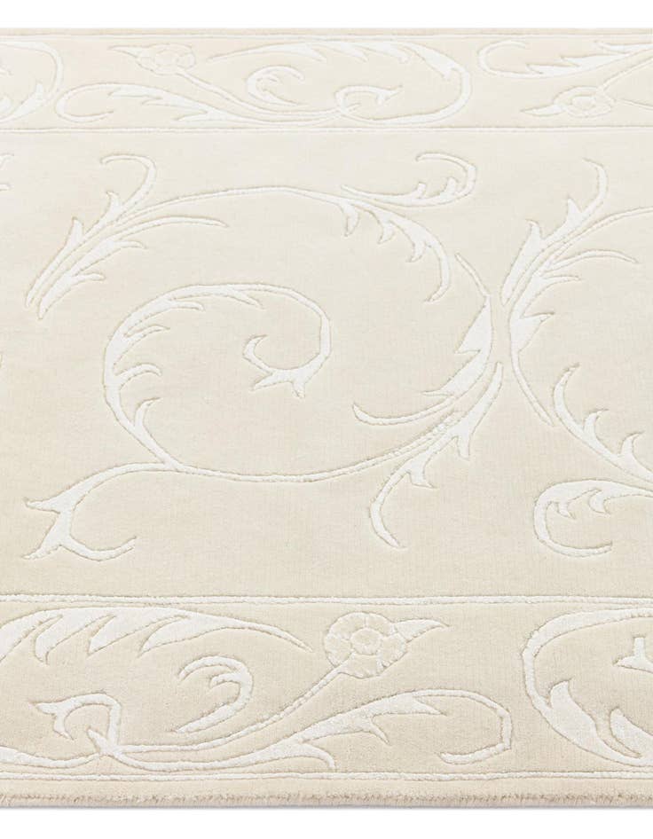 Detail image of  3' 4 x 9' 10 Darya Runner Rug