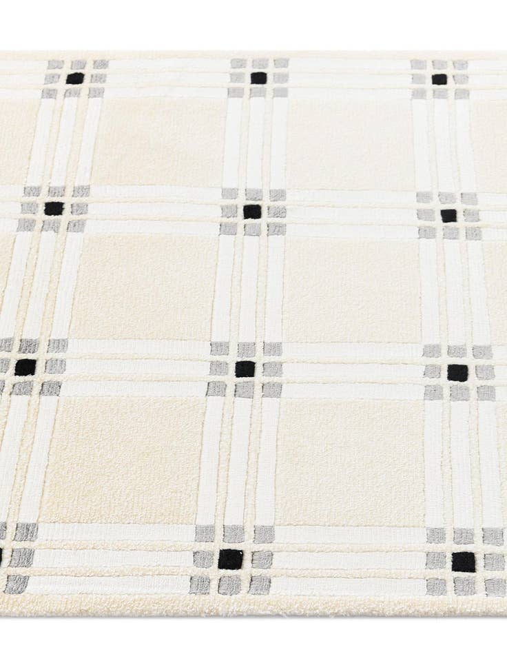 Detail image of  2' 8 x 9' 9 Darya Runner Rug