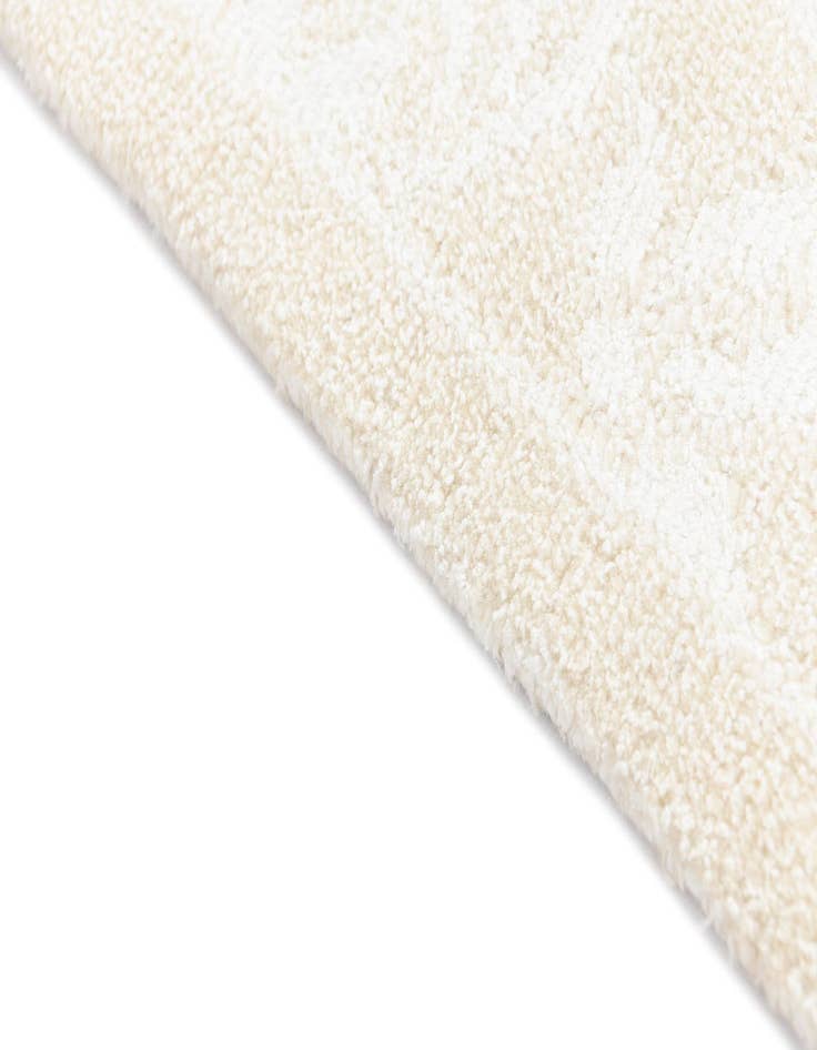 Detail image of  2' 9 x 9' 9 Darya Runner Rug