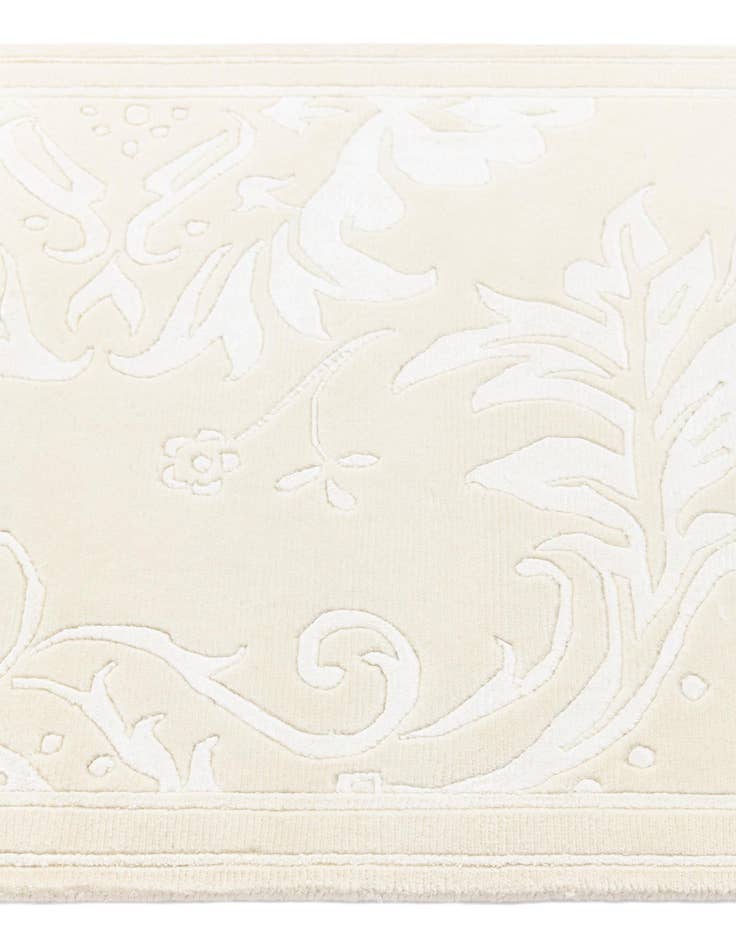 Detail image of  2' 8 x 9' 7 Darya Runner Rug