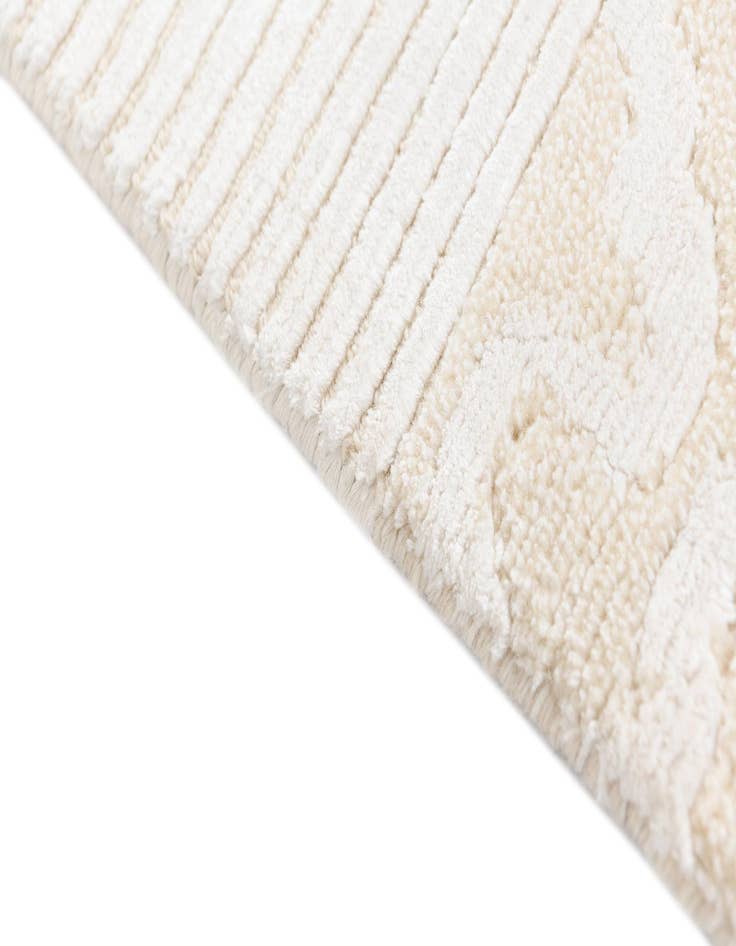 Detail image of  2' 8 x 10' 2 Darya Runner Rug