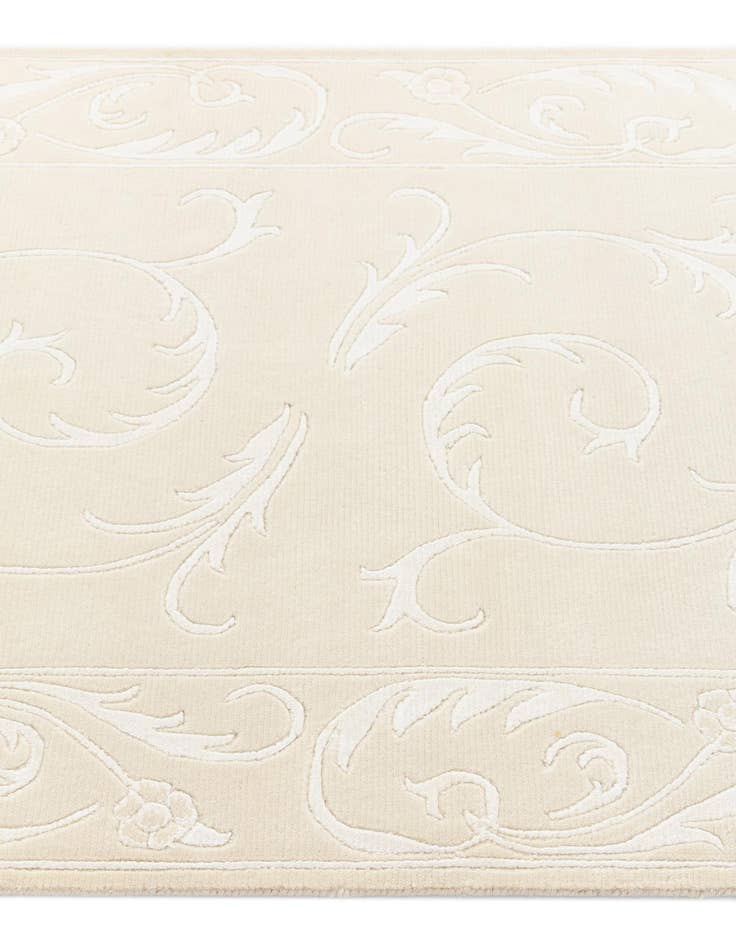 Detail image of  3' 3 x 9' 11 Darya Runner Rug