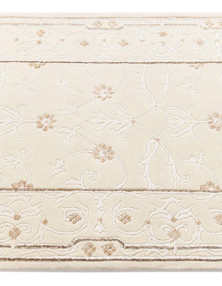 Detail image of  2' 9 x 12' 11 Darya Runner Rug